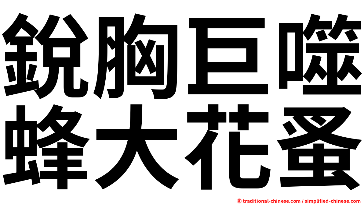 銳胸巨噬蜂大花蚤