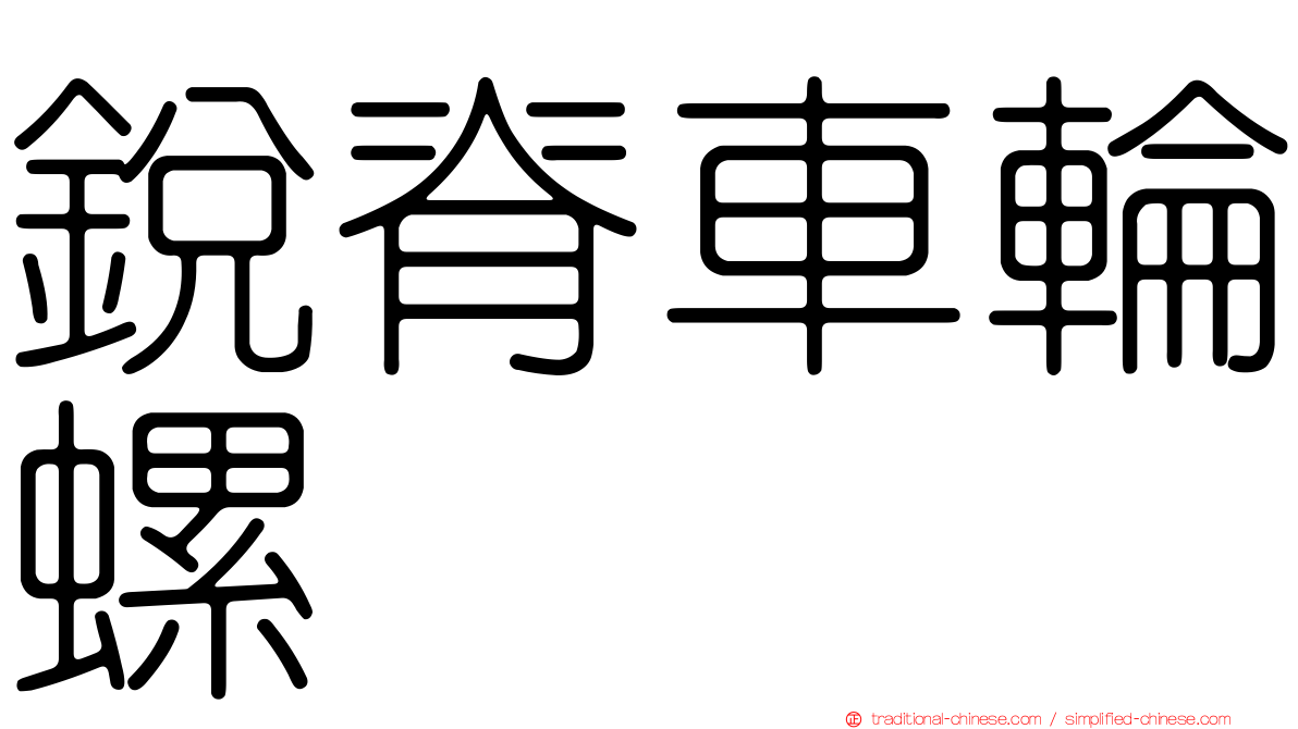 銳脊車輪螺