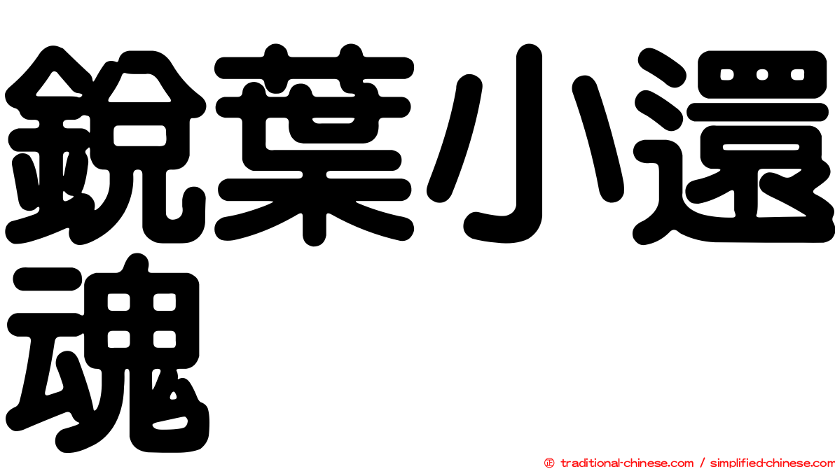 銳葉小還魂