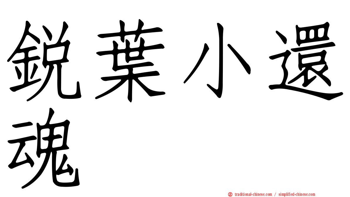 銳葉小還魂