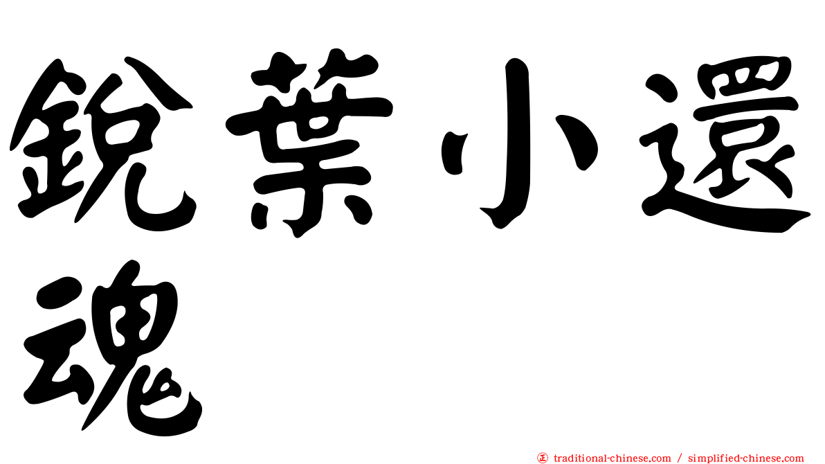 銳葉小還魂