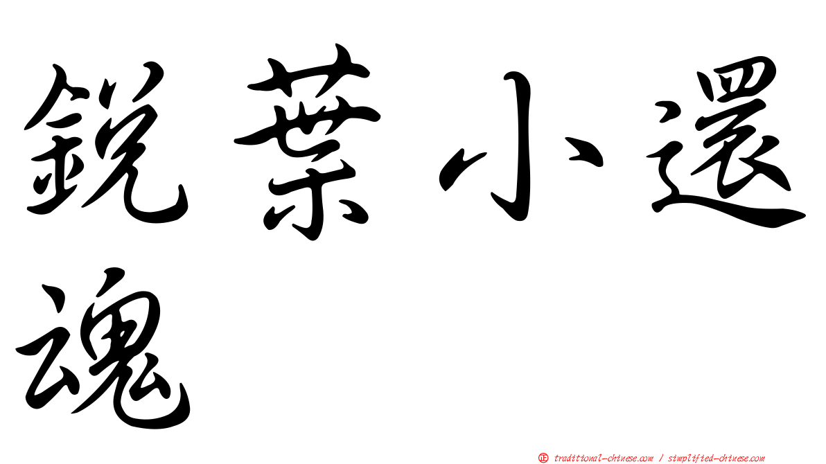 銳葉小還魂