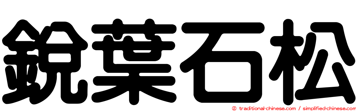 銳葉石松