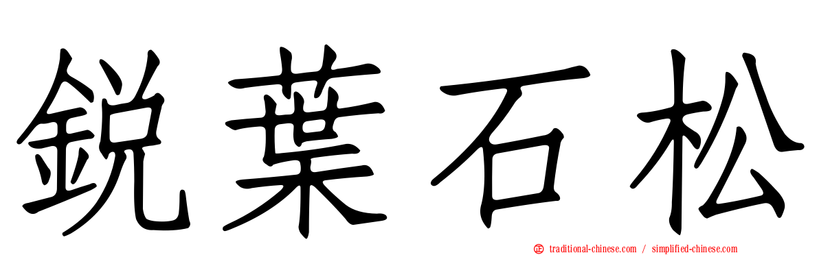 銳葉石松
