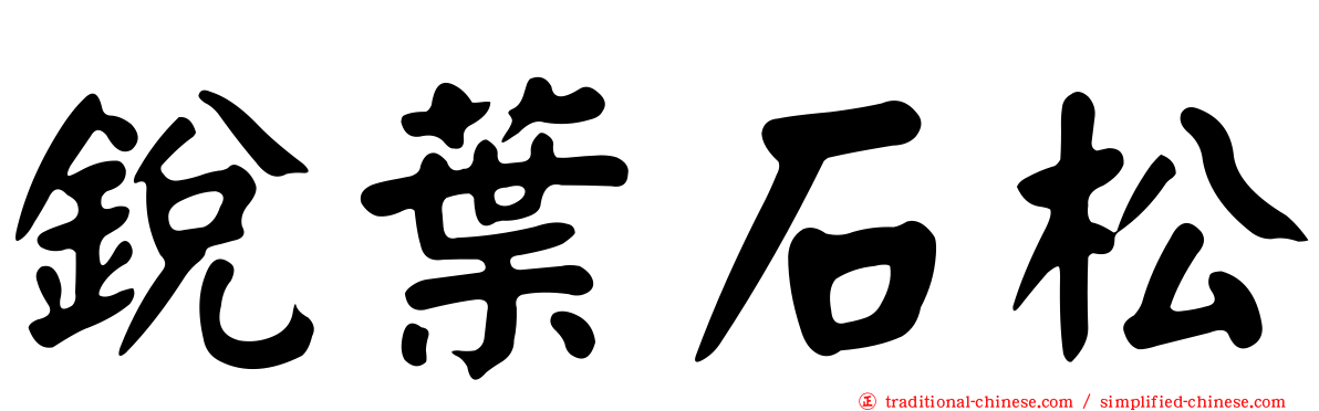 銳葉石松