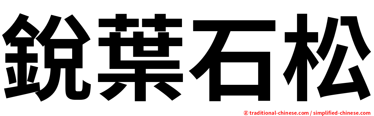 銳葉石松