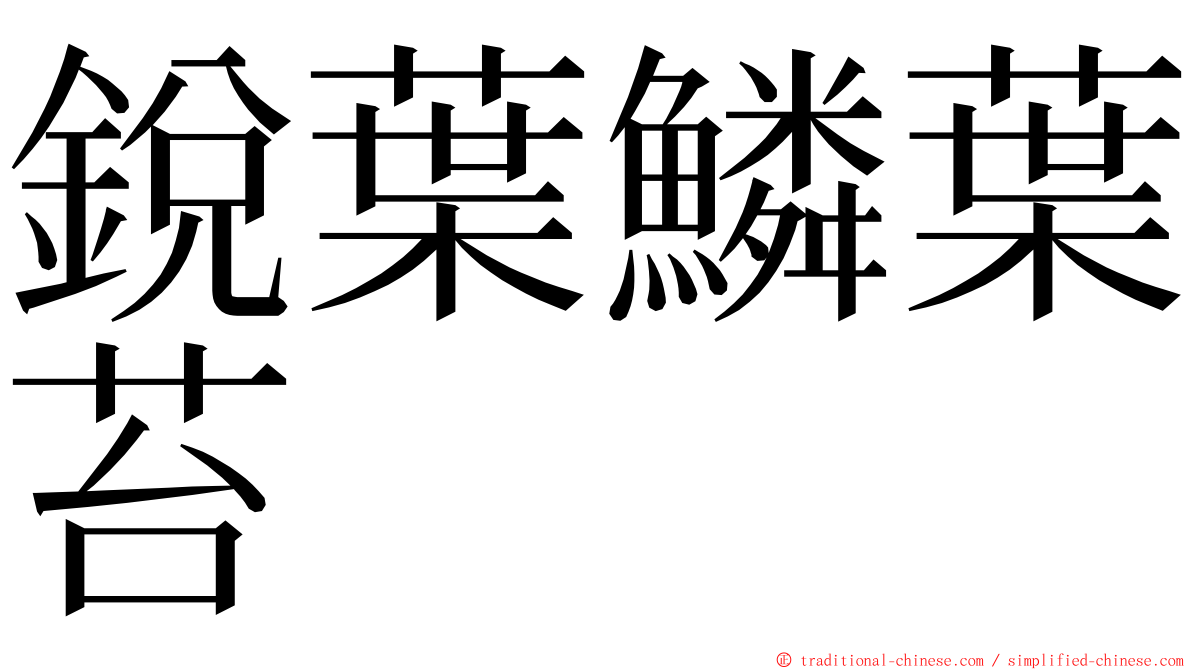 銳葉鱗葉苔 ming font