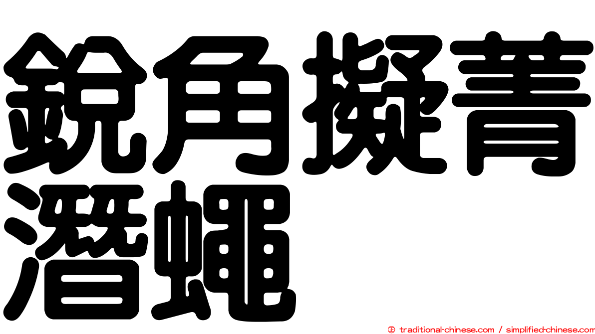 銳角擬菁潛蠅