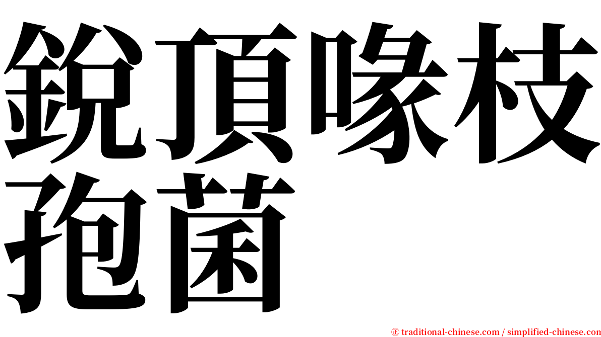 銳頂喙枝孢菌 serif font