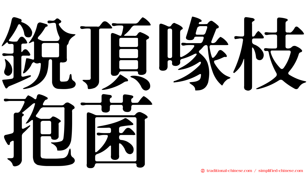 銳頂喙枝孢菌