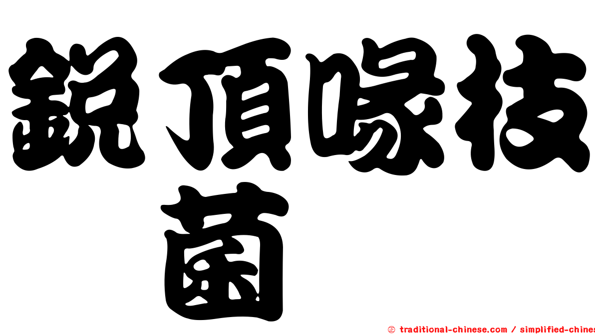 銳頂喙枝孢菌