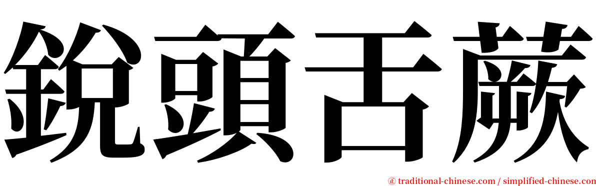銳頭舌蕨 serif font