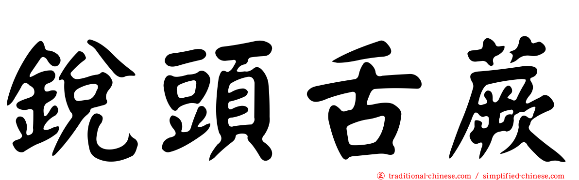 銳頭舌蕨