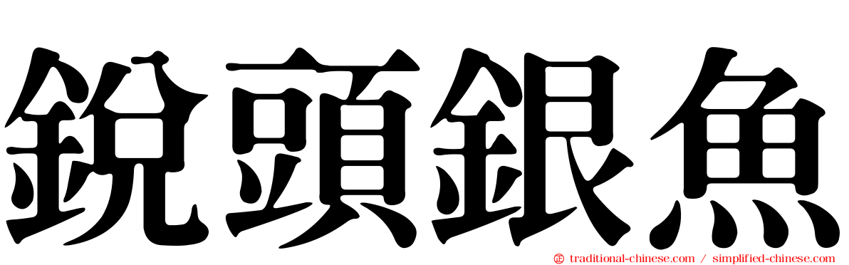 銳頭銀魚