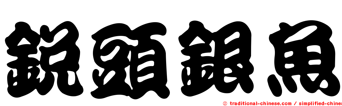 銳頭銀魚