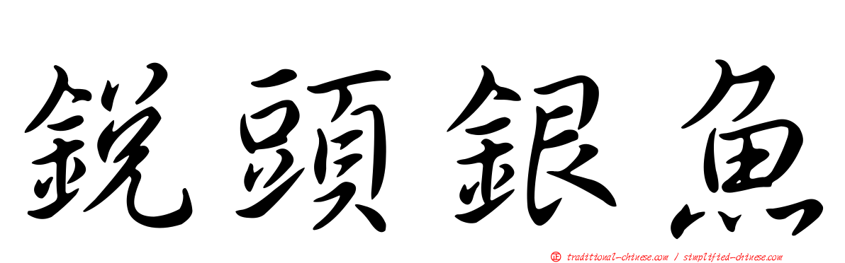 銳頭銀魚