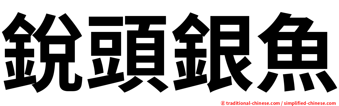 銳頭銀魚