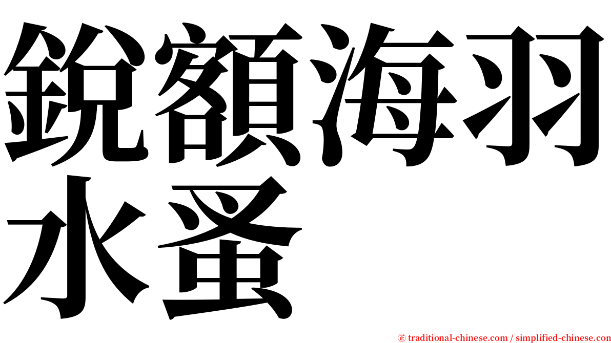 銳額海羽水蚤 serif font