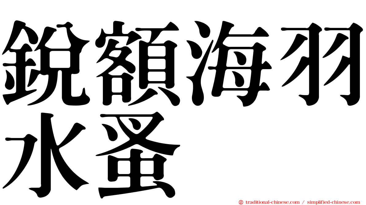 銳額海羽水蚤