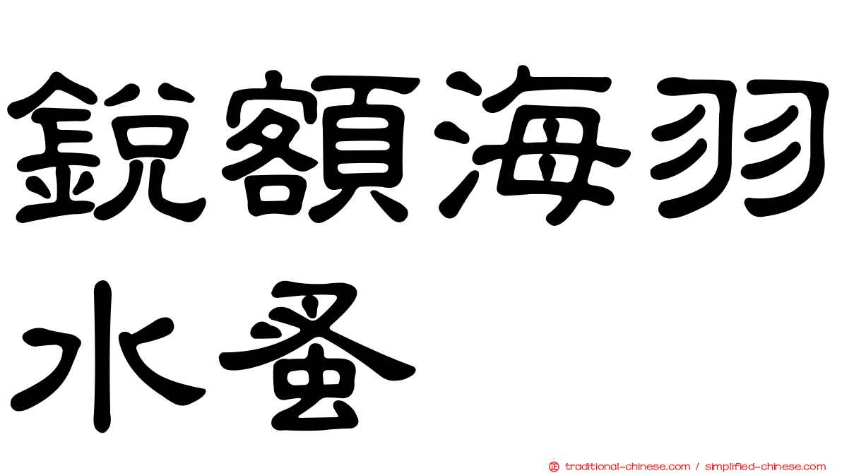 銳額海羽水蚤