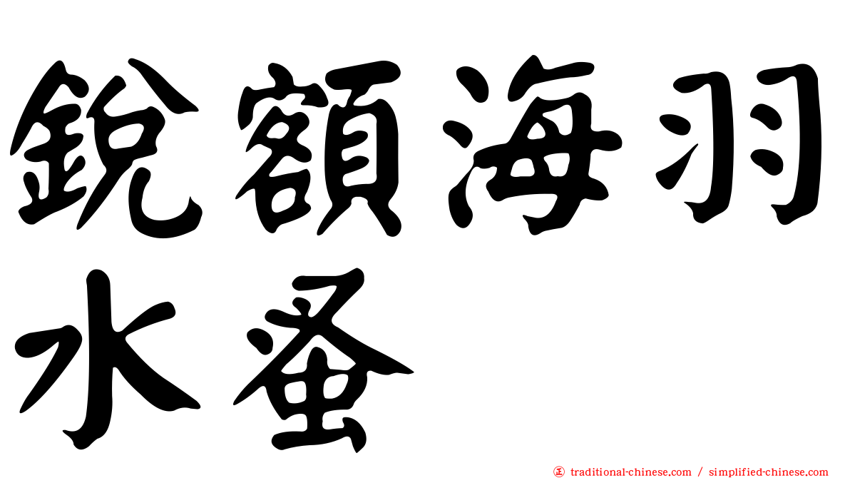 銳額海羽水蚤