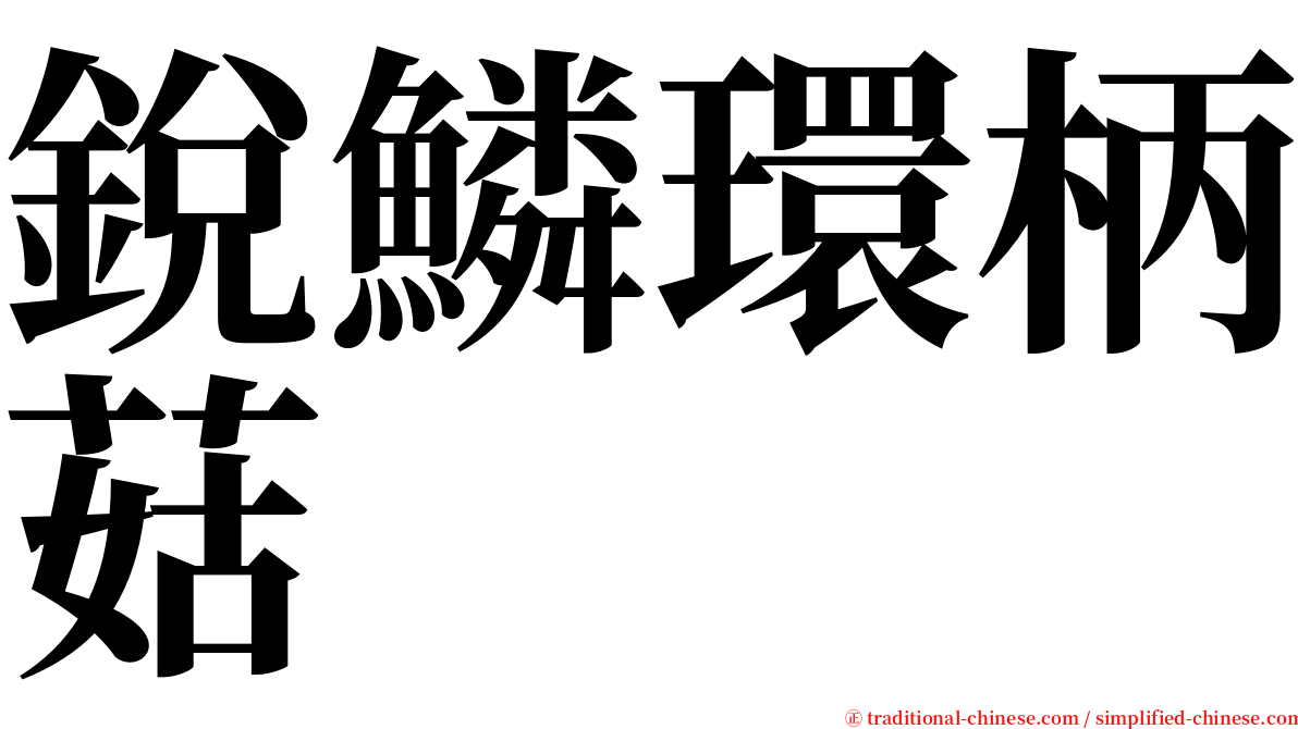 銳鱗環柄菇 serif font