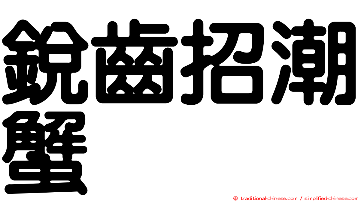 銳齒招潮蟹