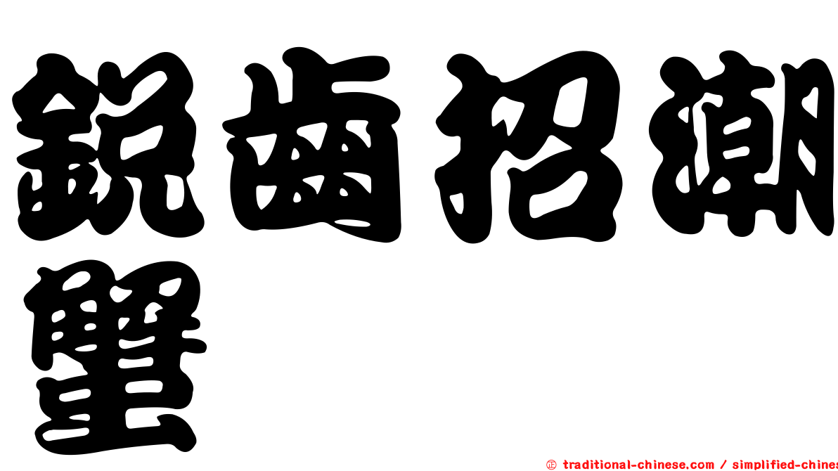 銳齒招潮蟹
