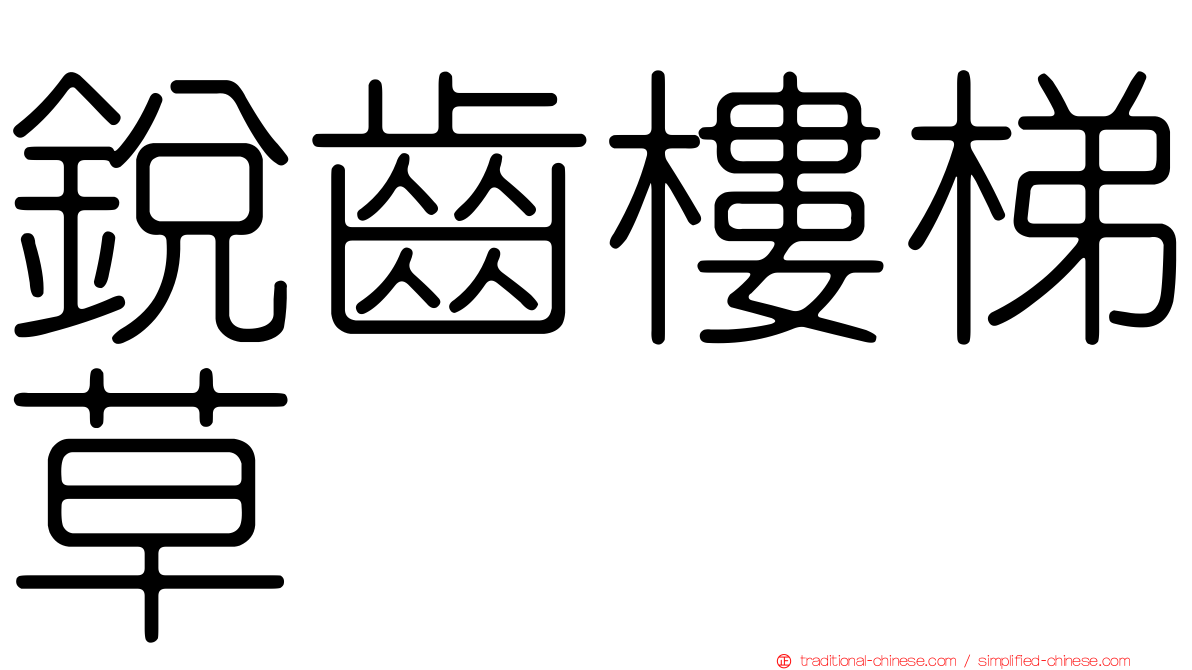銳齒樓梯草