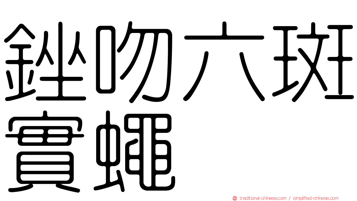 銼吻六斑實蠅