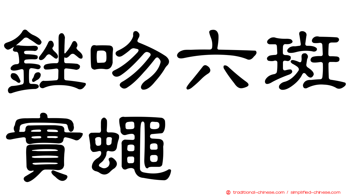 銼吻六斑實蠅