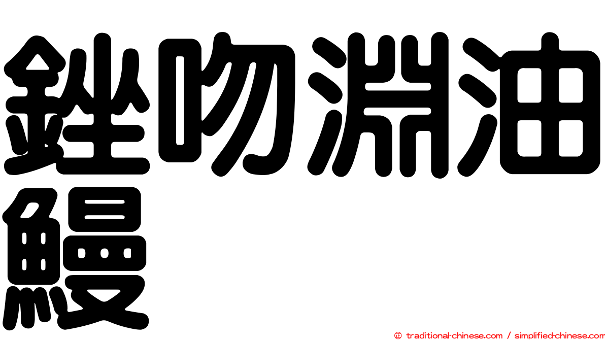 銼吻淵油鰻
