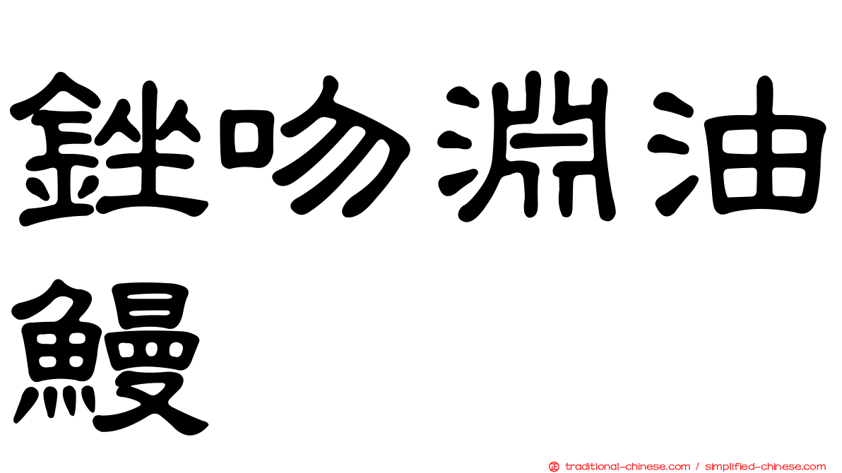 銼吻淵油鰻