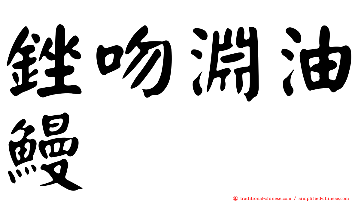 銼吻淵油鰻