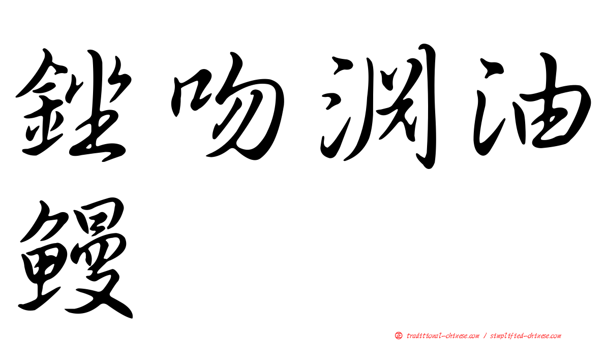 銼吻淵油鰻