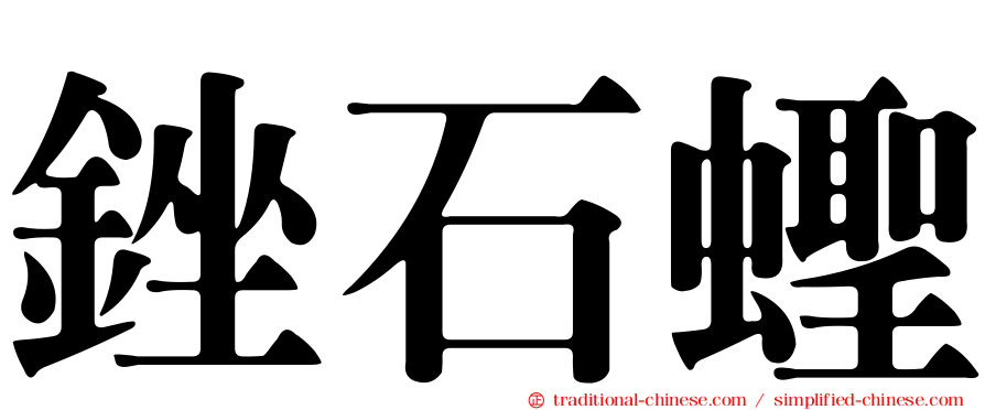 銼石蟶
