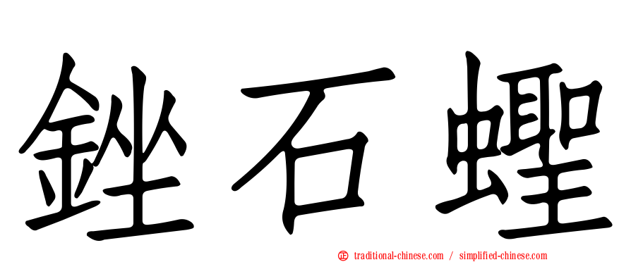 銼石蟶