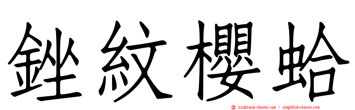 銼紋櫻蛤
