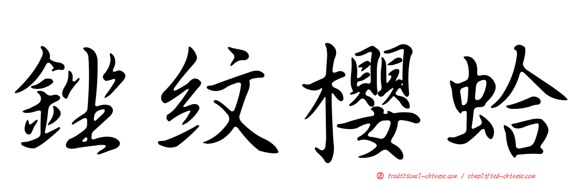 銼紋櫻蛤