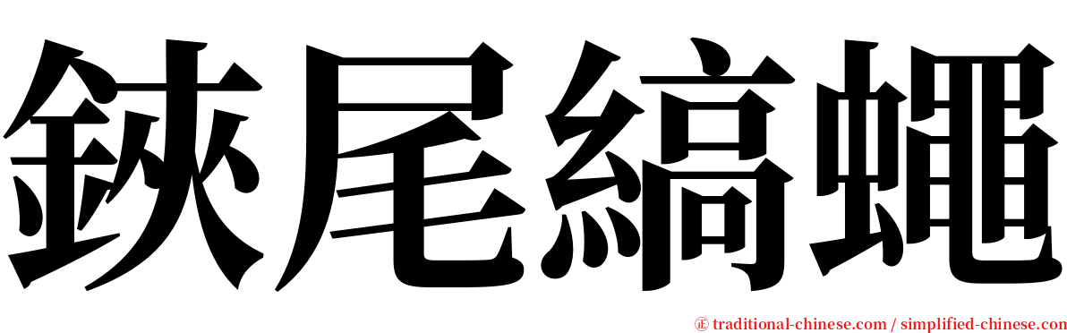 鋏尾縞蠅 serif font