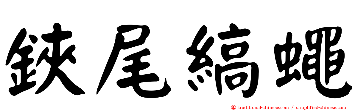 鋏尾縞蠅