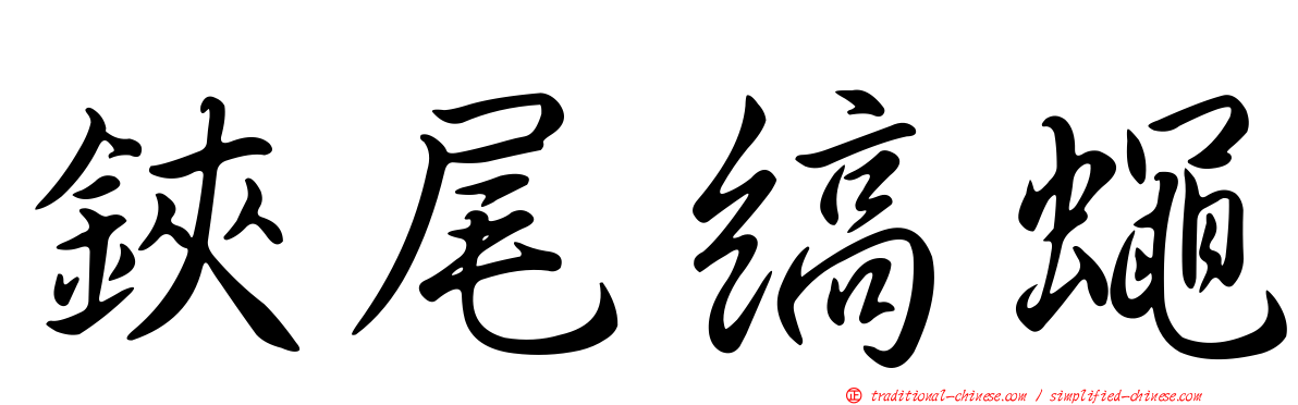 鋏尾縞蠅