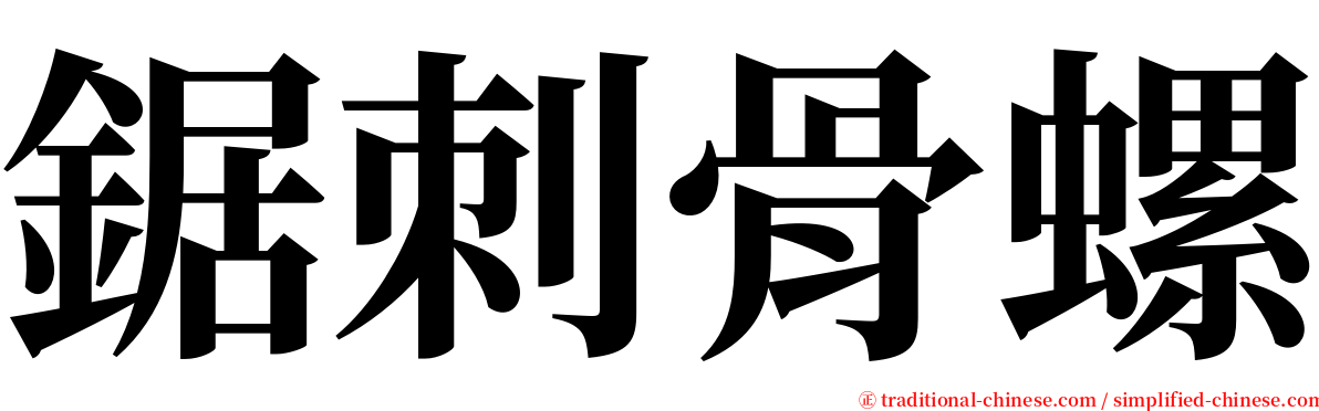 鋸刺骨螺 serif font