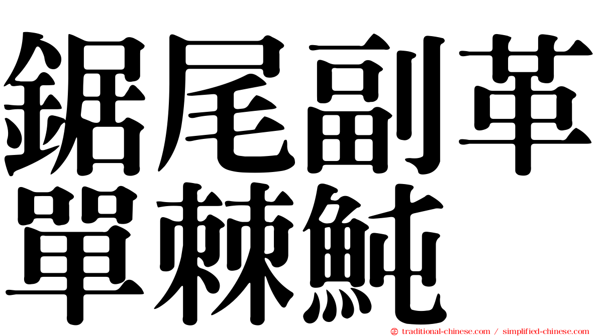 鋸尾副革單棘魨