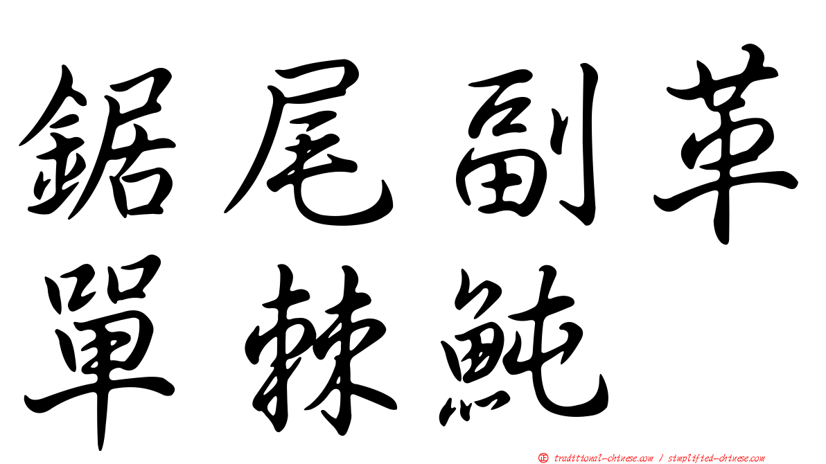 鋸尾副革單棘魨