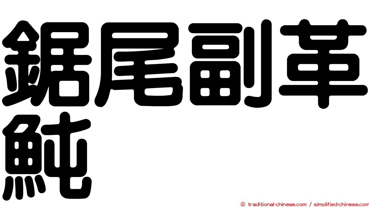 鋸尾副革魨