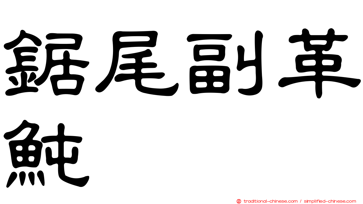 鋸尾副革魨