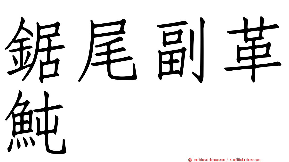 鋸尾副革魨