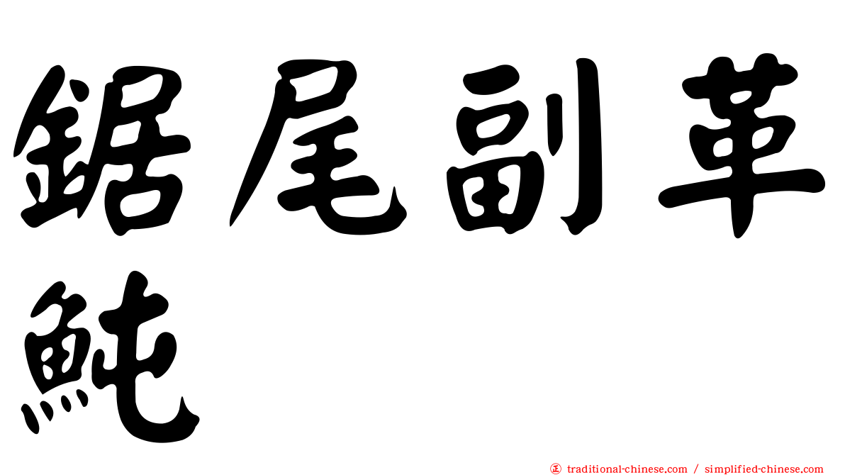 鋸尾副革魨