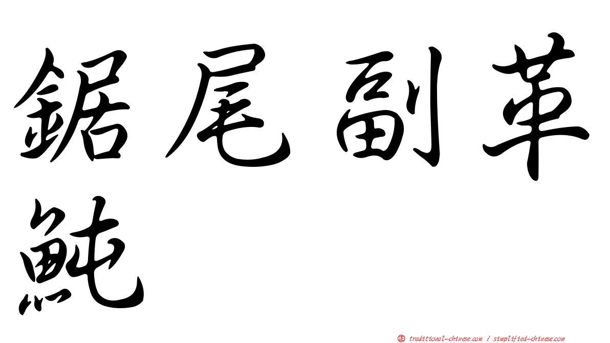 鋸尾副革魨